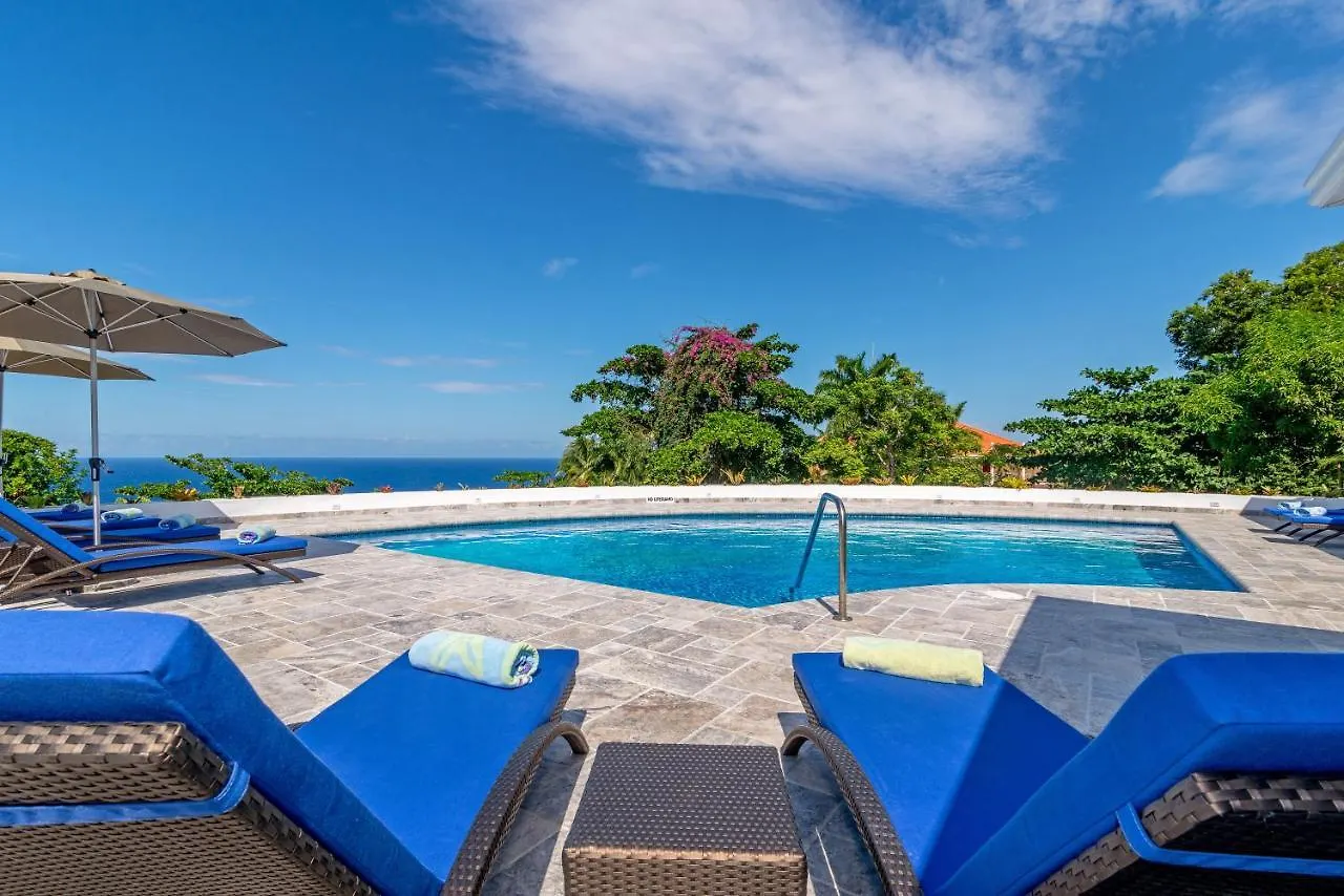 Magnificent 5-Bedroom Estate Villa, Sleeps 12 Montego Bay Villa